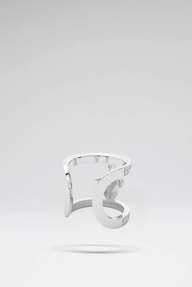 #precious-metal_18kt-white-gold